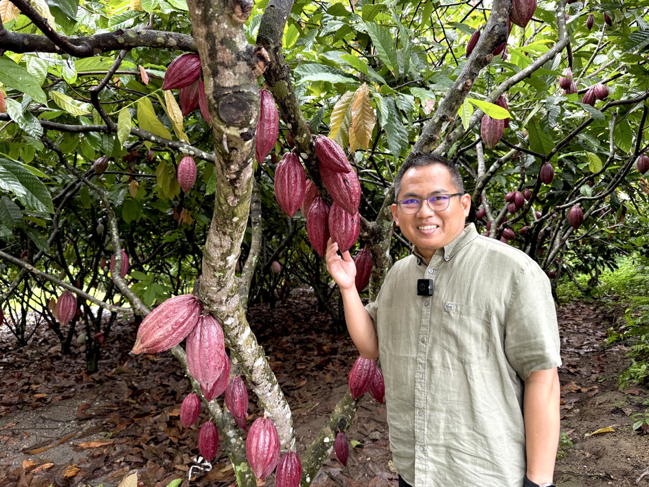 Indonesia / CoEx 2025 Code – 274 | Cacao of Excellence