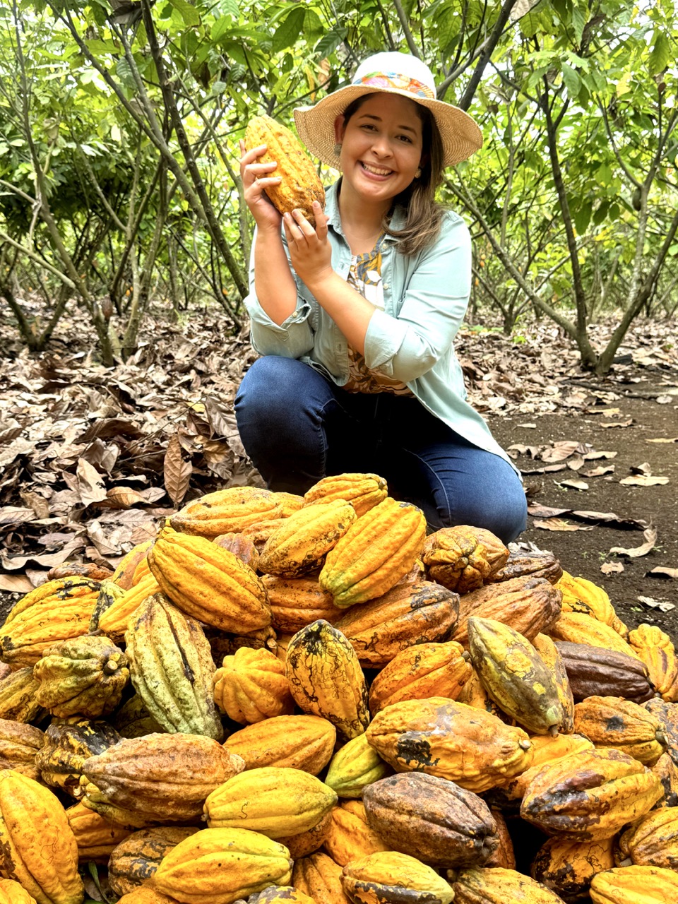 Ecuador / CoEx 2025 Code – 347 | Cacao of Excellence