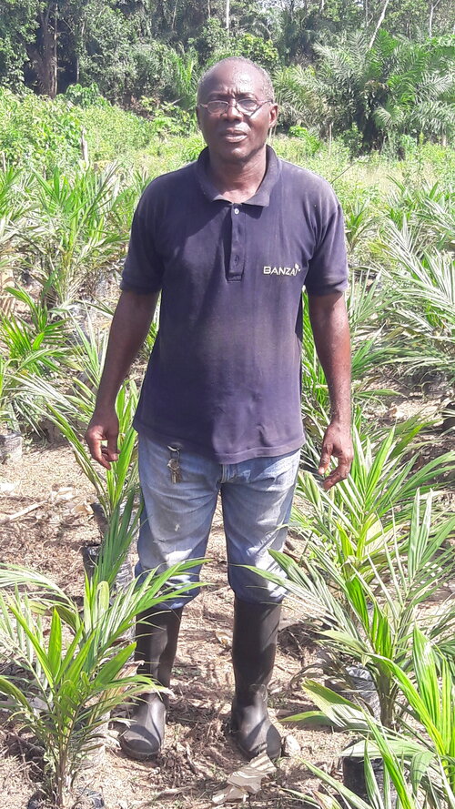 Côte d'Ivoire N'Koh Ambroise Azaguié: Cacao of Excellence